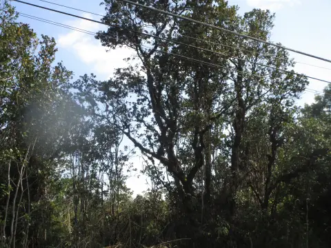 Mountain View Land For Sale