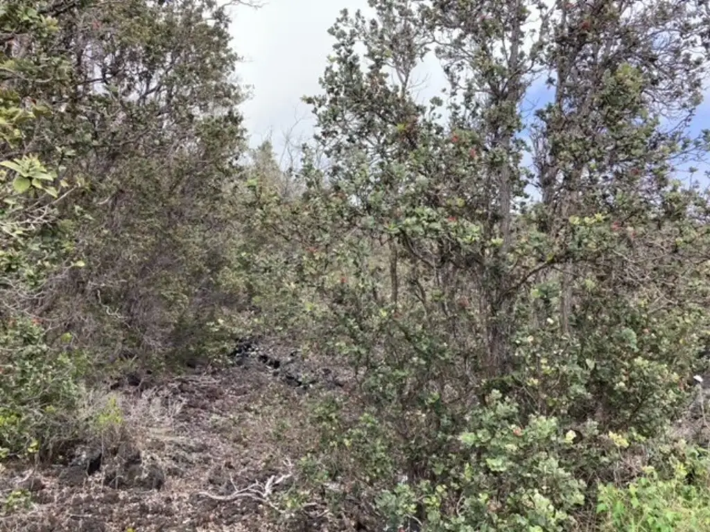 Picture 4