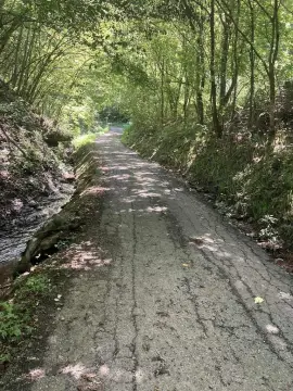 98 Acres Residential Land