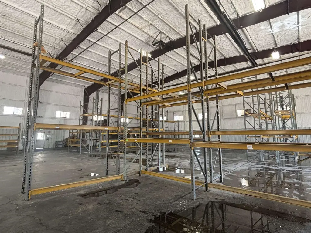 Picture 5