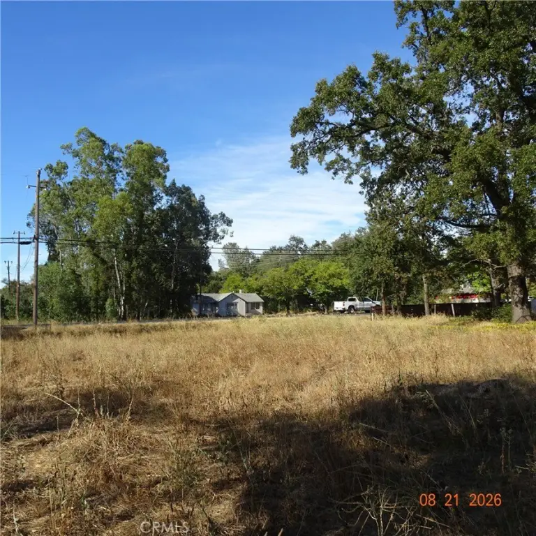 Picture 8