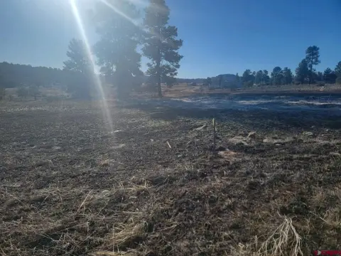 Pagosa Springs Residential Land
