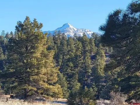 Pagosa Springs Residential Land