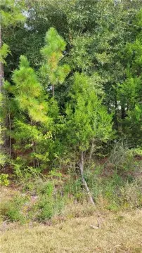 Land For Sale in Tuskegee