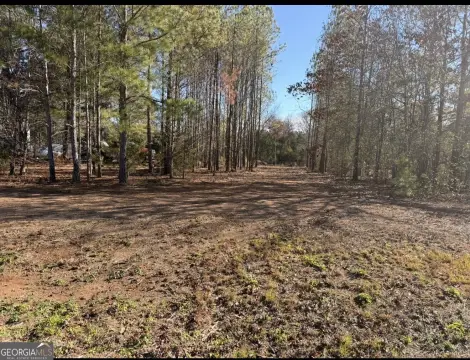 Cleared Level Lot in Macon