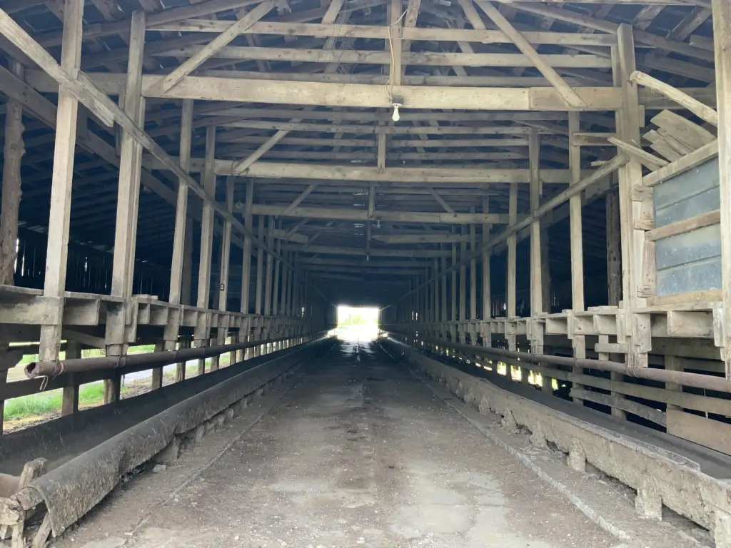 Picture 34