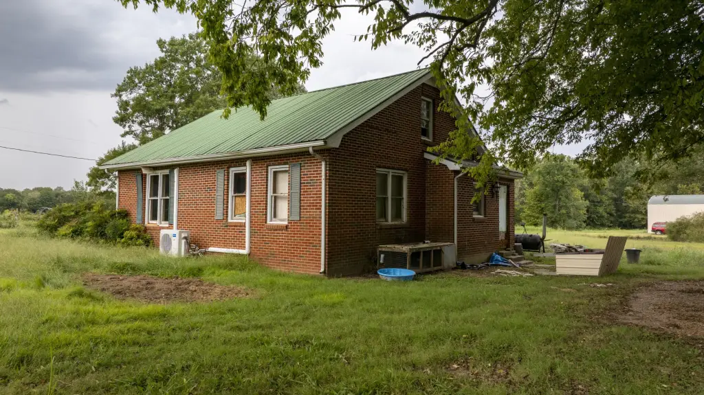 Picture 11