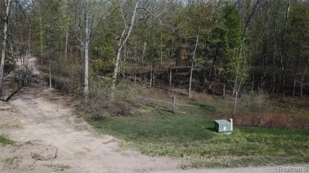 Picture 11