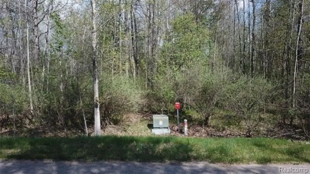 Picture 13