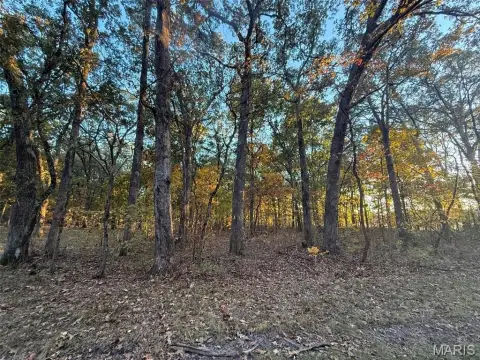 Wooded Land Parcel in St Peter