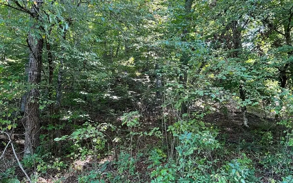 Picture 36