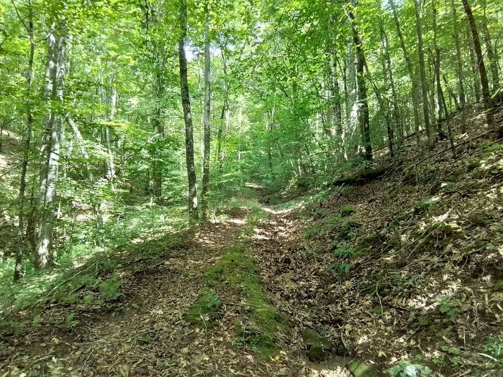 Picture 10