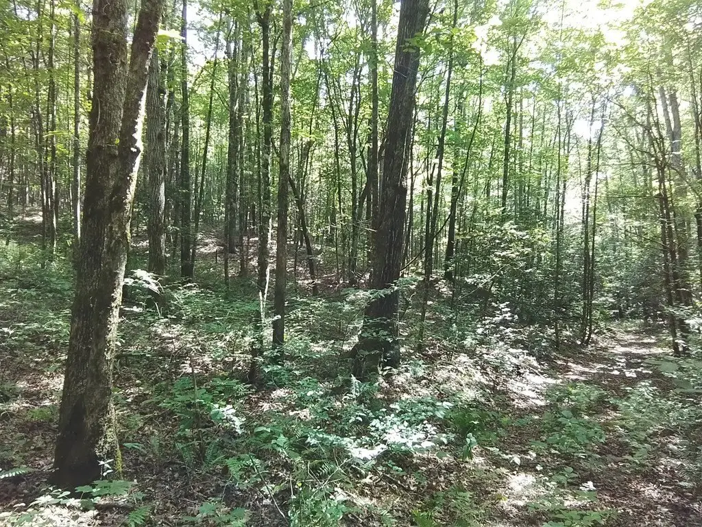 Picture 17