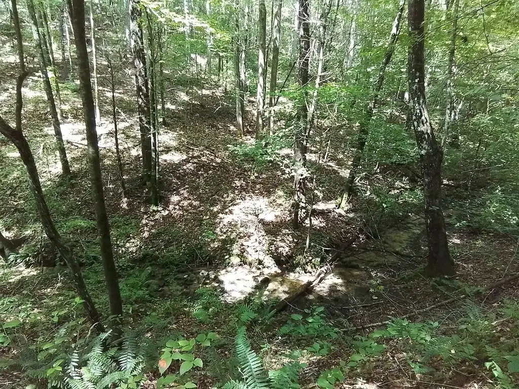 Picture 13