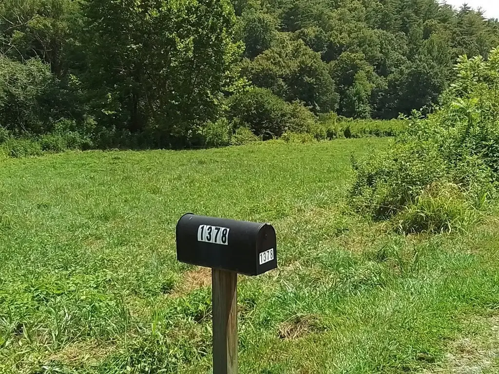 Picture 4
