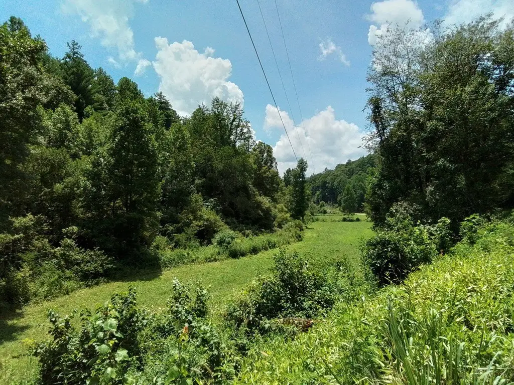Picture 2