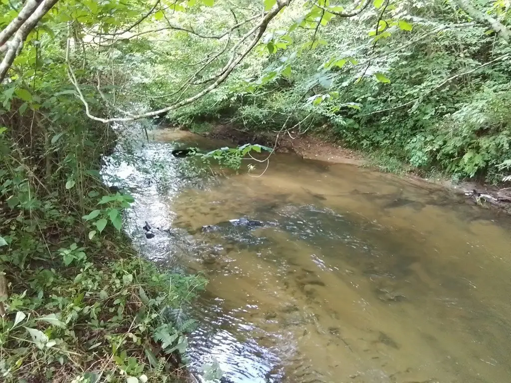 Picture 8