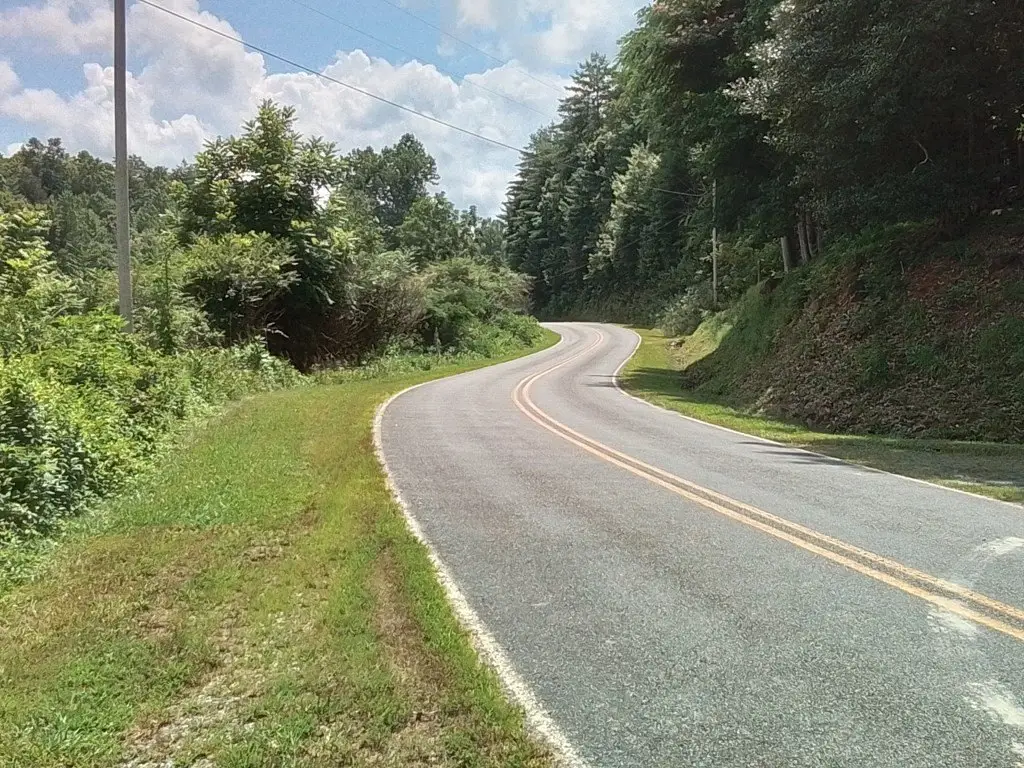 Picture 5