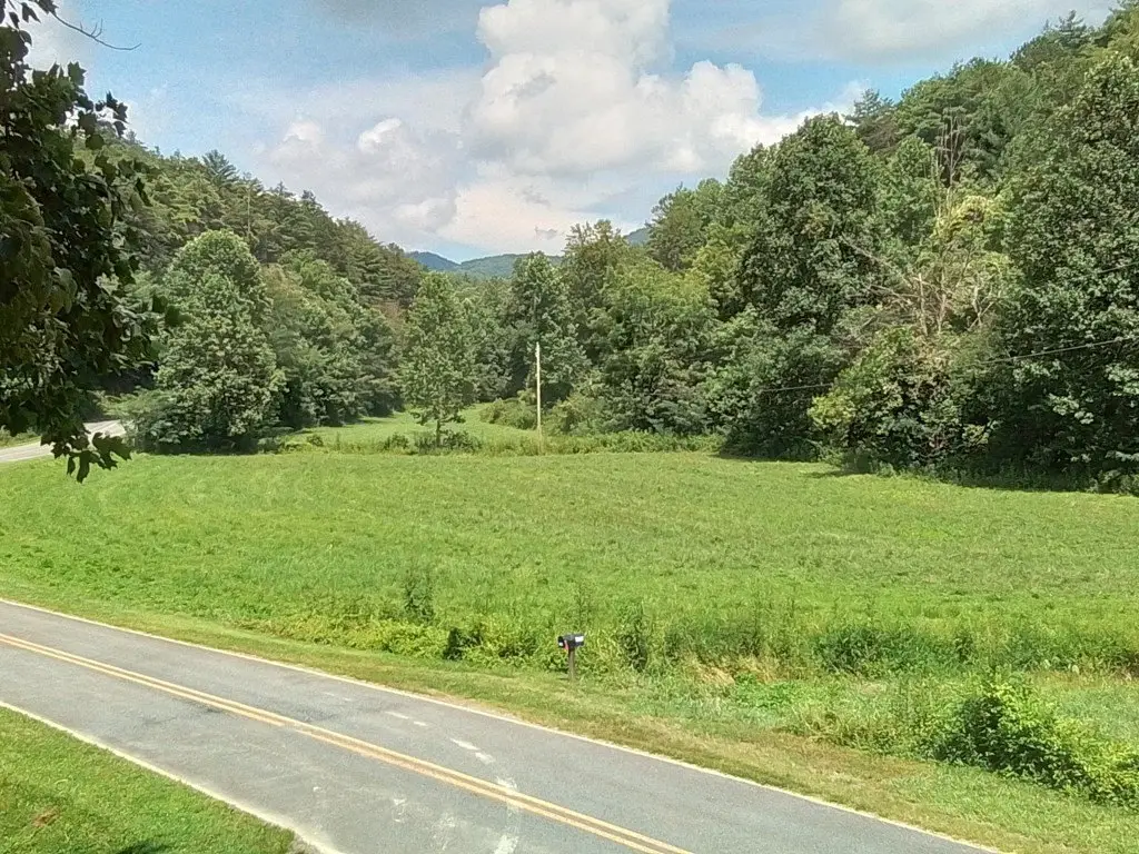 Picture 3
