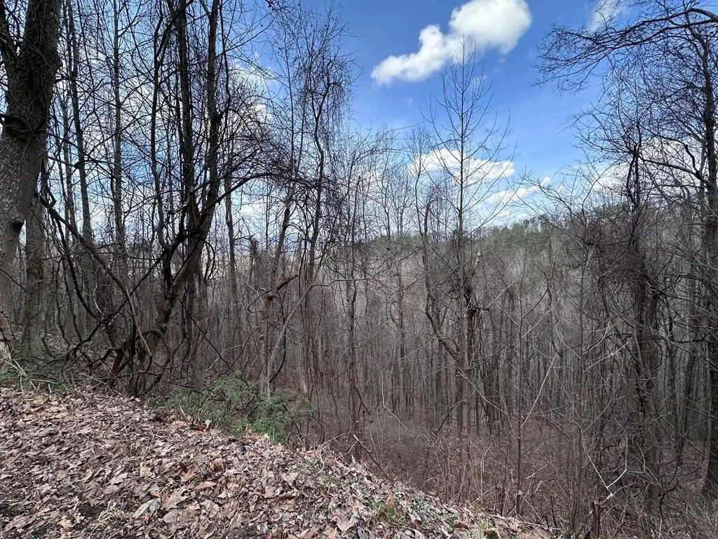 Picture 41