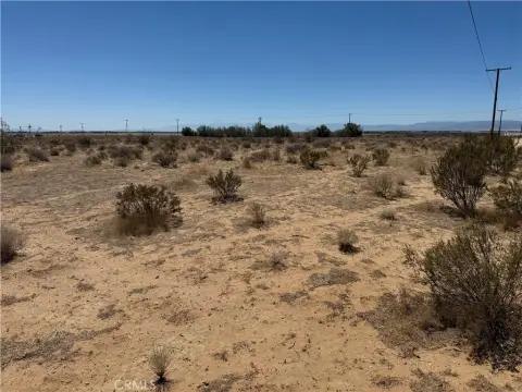 Rosamond Land Near Race Track