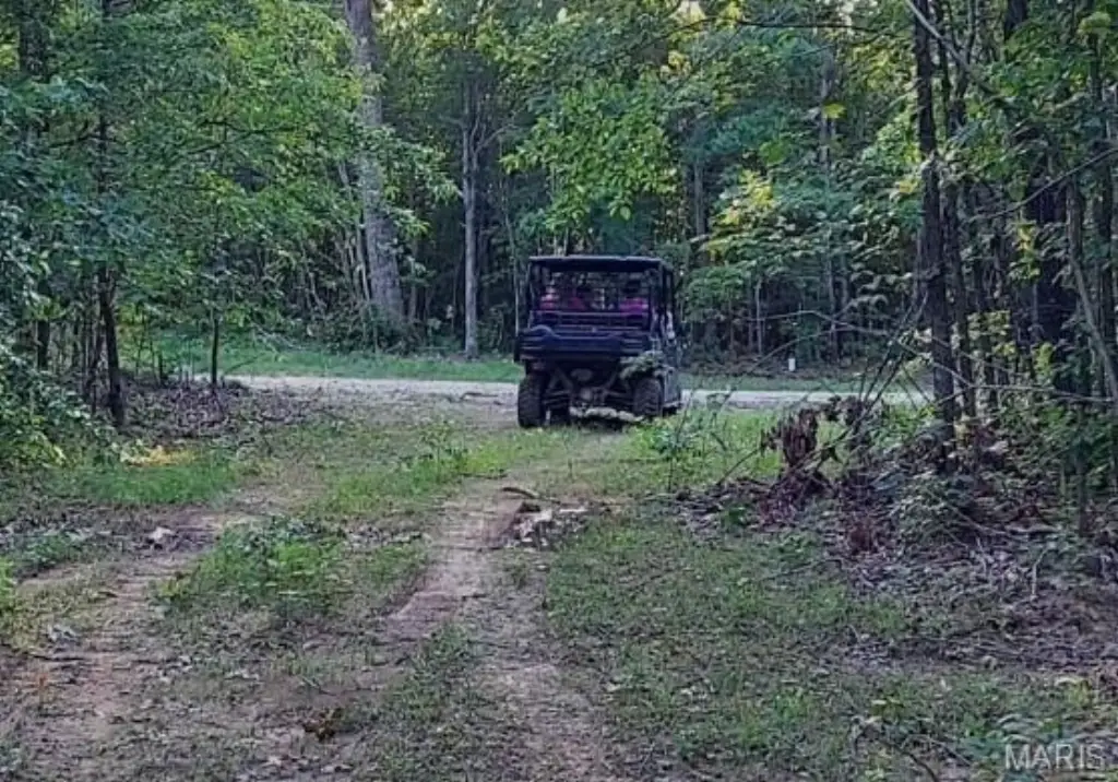 Picture 4