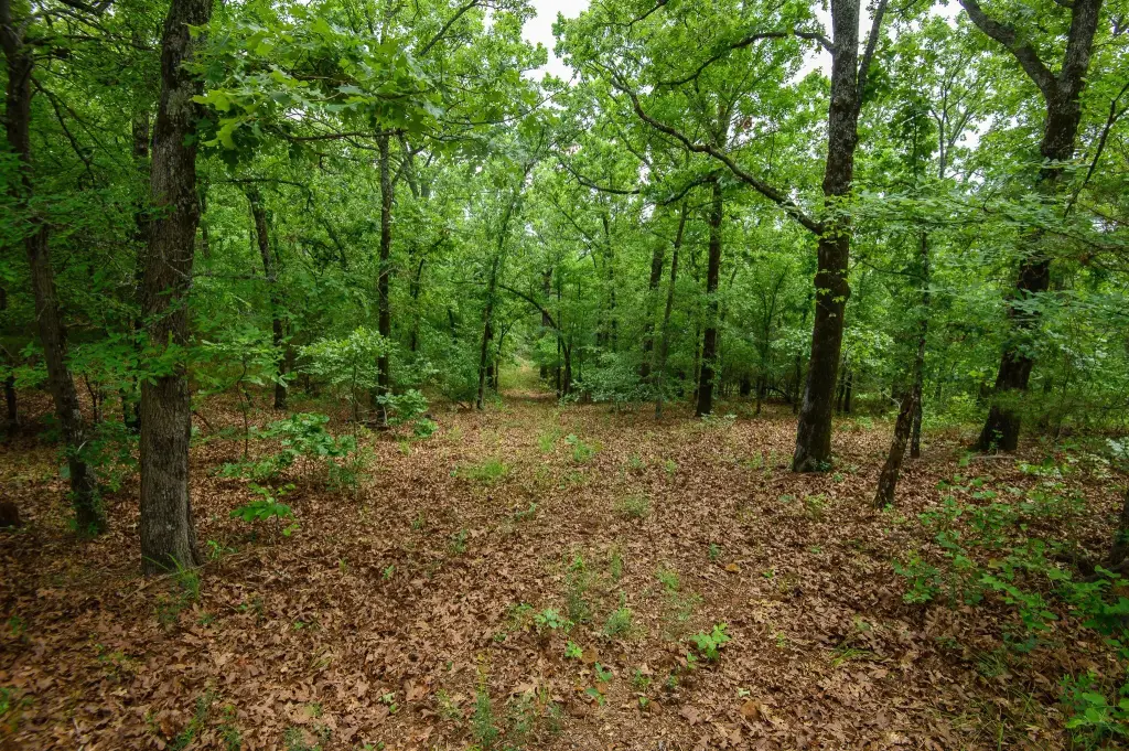 Picture 16