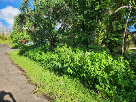Pahoa, HI Land Opportunity