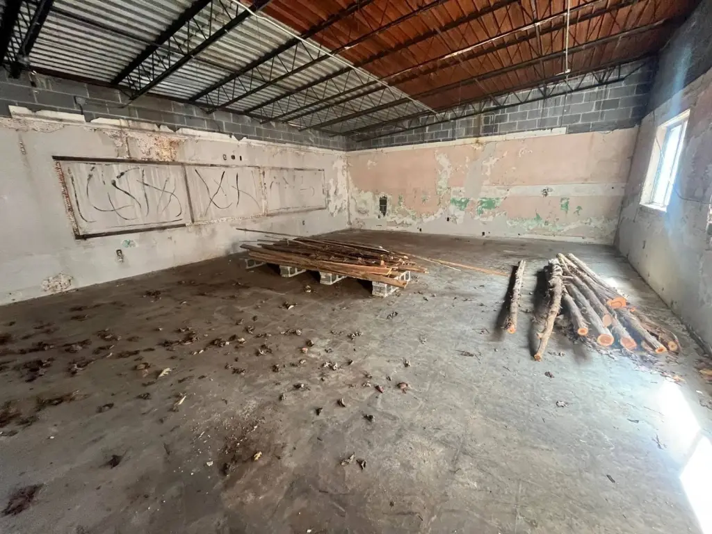 Picture 23