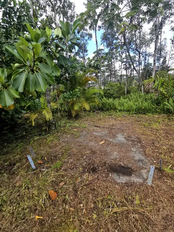 Picture 6