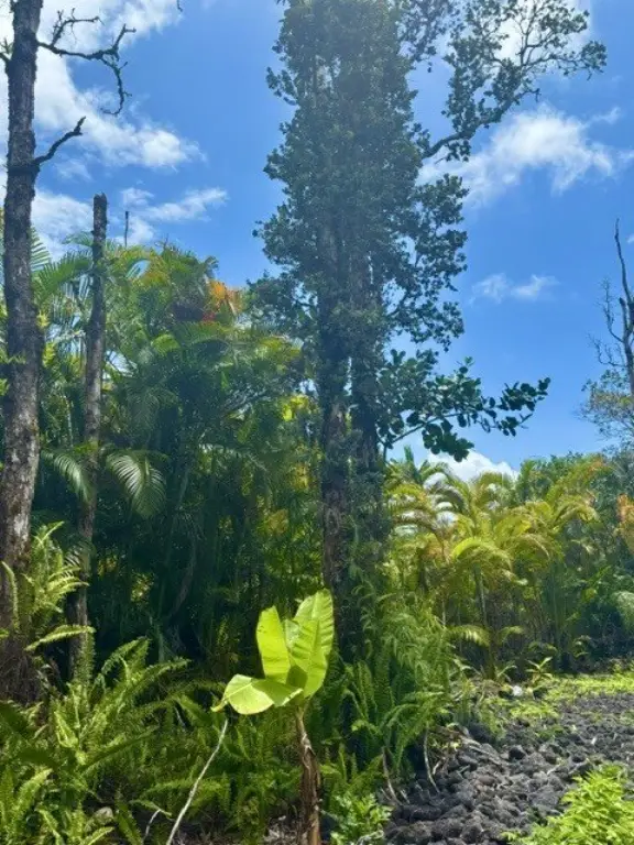 Picture 20