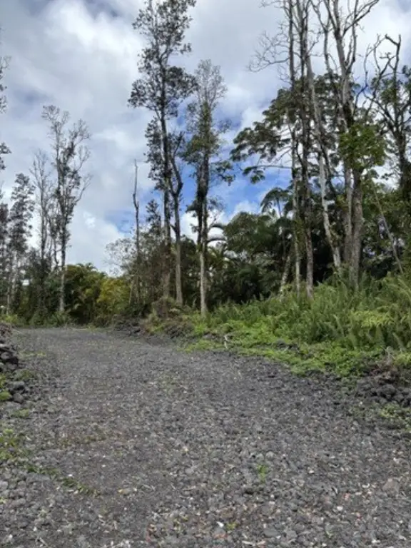 Picture 8