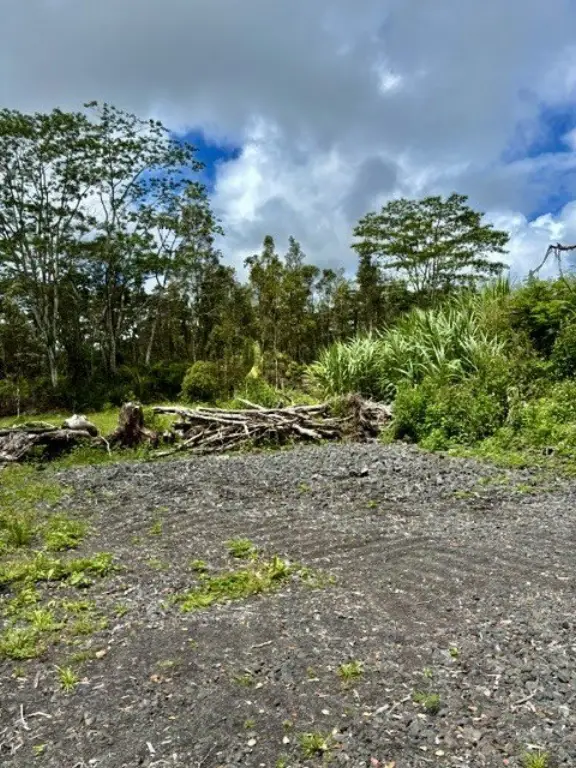 Picture 12