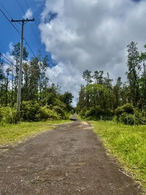 Picture 23