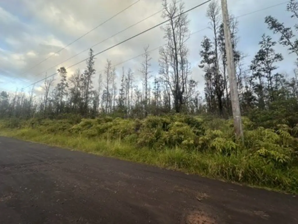 Picture 2