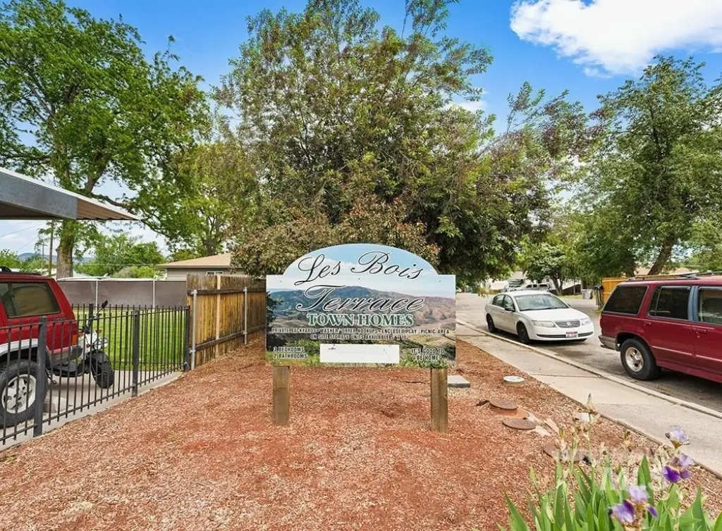 Picture 2