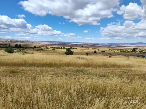 Grangeville Land with Creek Access