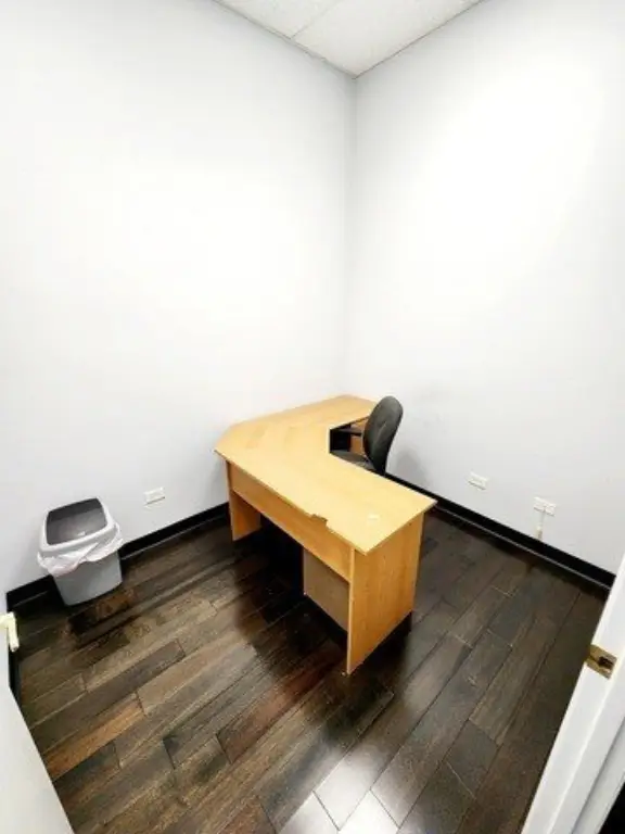 Picture 12