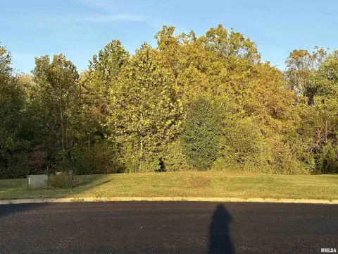 Residential Land in Windsong Estates