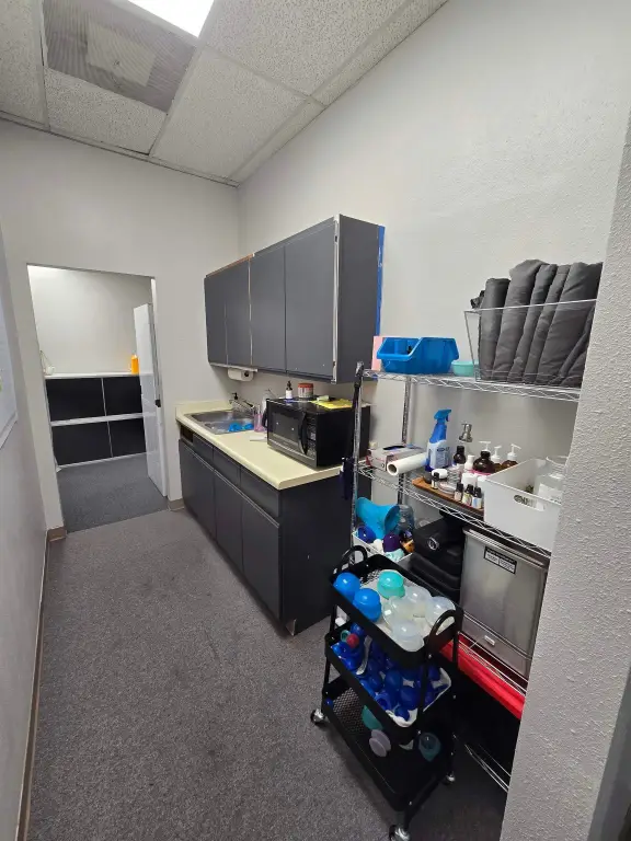 Picture 26