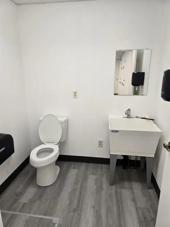 Picture 11