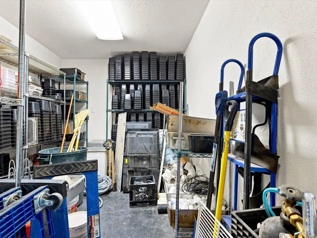 Picture 25