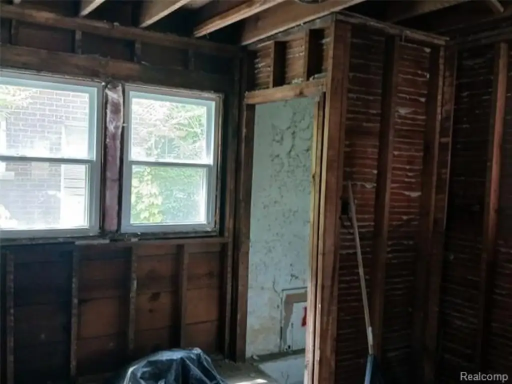 Picture 5