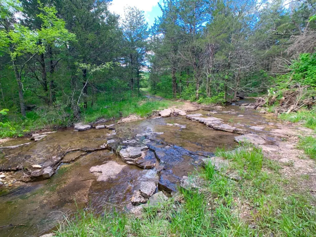 Picture 36