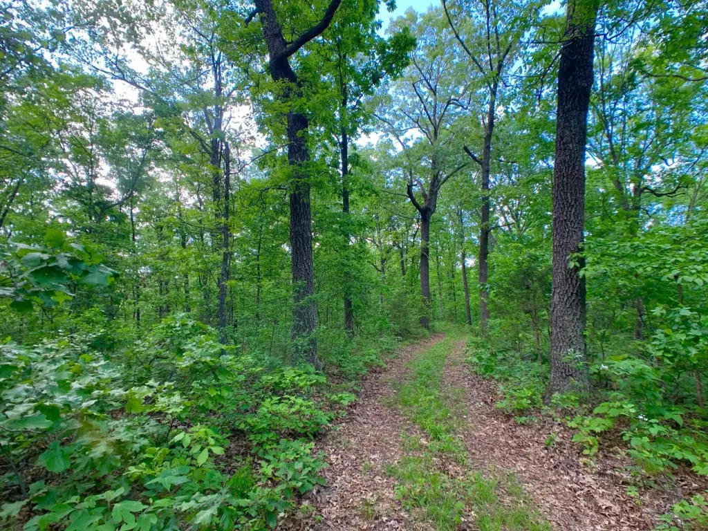 Picture 59