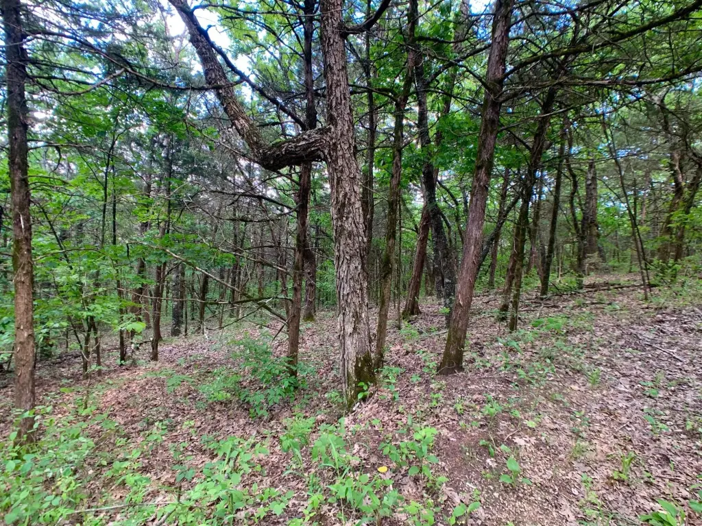 Picture 19
