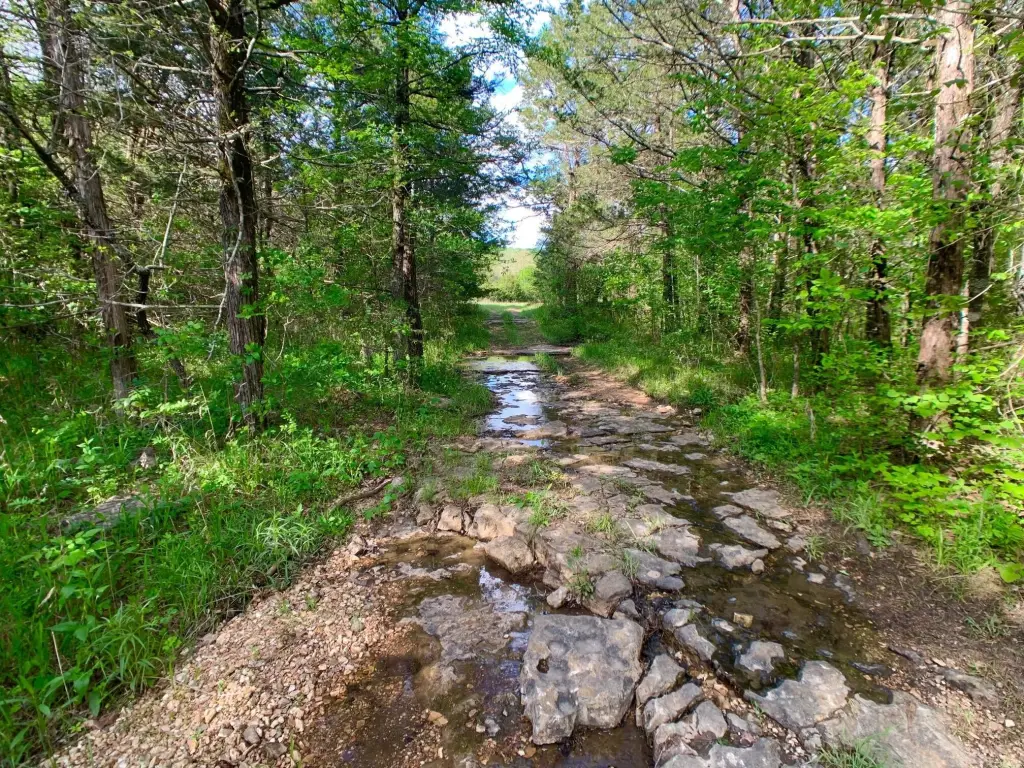 Picture 45