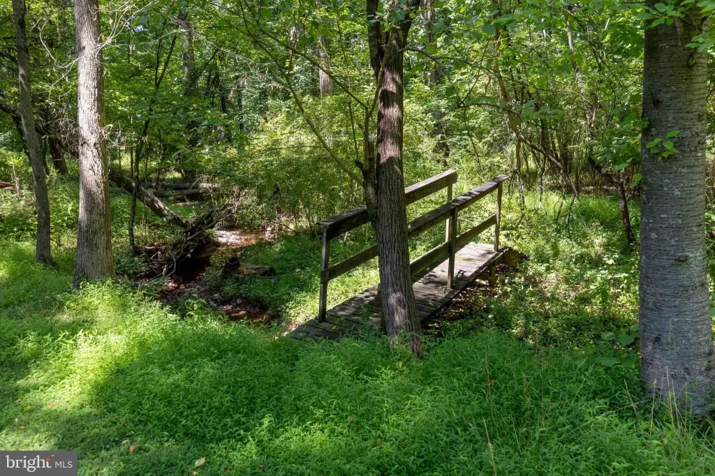 Picture 48