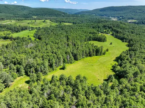 Farmland with Meadows and Woods