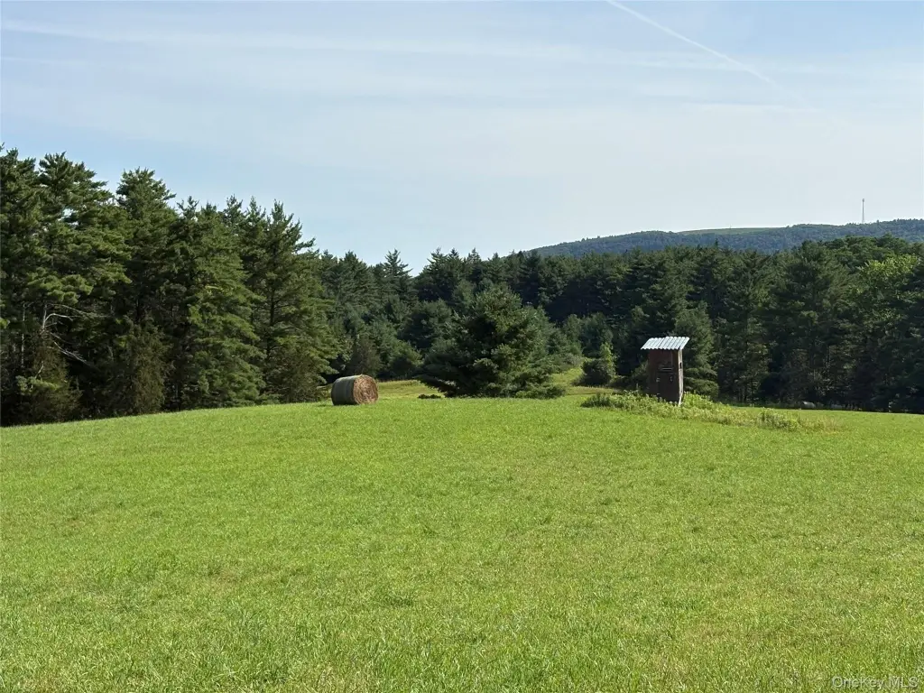 Picture 9